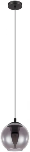 98651 Подвесной светильник Ariscani 98651 (220V, шар)