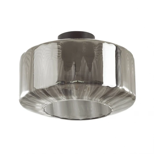 4746/1C Потолочная люстра Odeon Light Binga 4746/1C (220V, круглые)