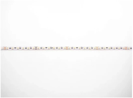 005980 Светодиодная лента 9,2Вт/м 24В 5м RGB LEDS POWER 005980