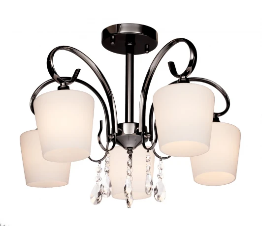 249.59.5 Потолочная люстра Silver Light Grace 249.59.5