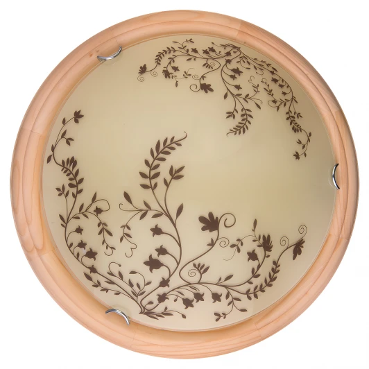 TL9630Y-00PN Настенно-потолочный светильник Toplight Irene TL9630Y-00PN (LED, 220V, сосна)