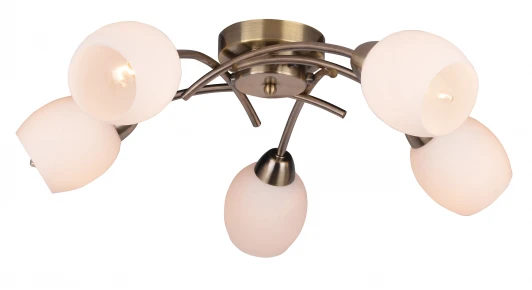 TL3780X-05AB Потолочная люстра Toplight Merry TL3780X-05AB