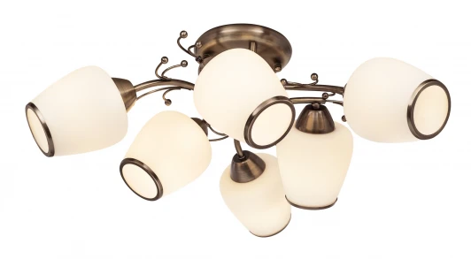 501.53.6 Потолочная люстра Silver Light Verbena 501.53.6