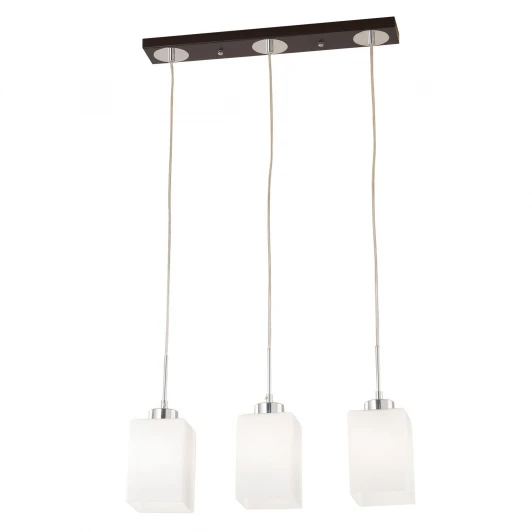 CL123231 Подвесной светильник Citilux Маркус CL123231