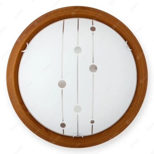 TL9033Y-02OA Настенно-потолочный светильник Toplight Madison TL9033Y-02OA