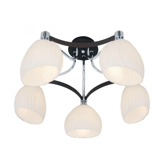 CL143151 Потолочная люстра Citilux Iris CL143151