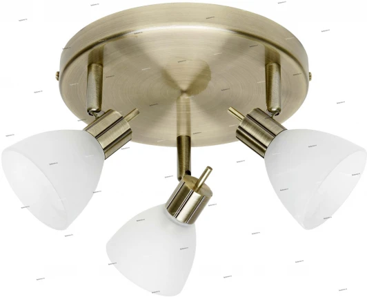 G30634/31 Спот Brilliant Brighton G30634/31