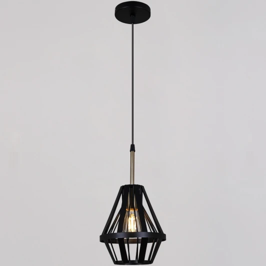 05586-0.9-01 BK Подвесной светильник Reluce 05586-0.9-01 BK (220V, на проводе)