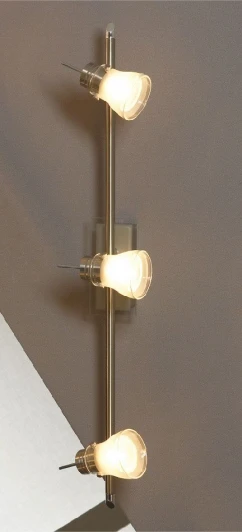 LSL-7601-03 Настенно-потолочный светильник Lussole Asseggiano LSL-7601-03