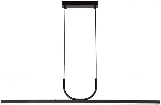 4096-2P Подвесной светильник Favourite Raya 4096-2P (LED, 220V, на проводе)