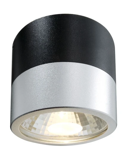 299363 Накладной точечный светильник Deko-Light Cana 299363