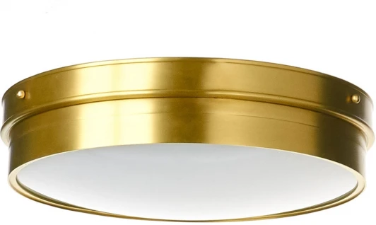 10459 Потолочный светильник круглый Cloyd Platz 10459 (LED, 220V, круглые)