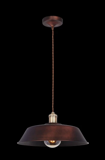 T027-01-R Подвесной светильник Maytoni Pail T027-01-R