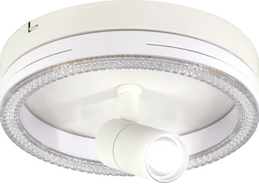 20044SMA/02LED WH Настенно-потолочный светодиодный светильник Escada 20044LED 20044SMA/02LED WH 30Вт, металл/акрил, белый