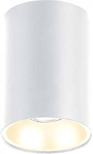 DL20172R1W Накладной светильник Donolux Cap DL20172R1W (220V, круглые)