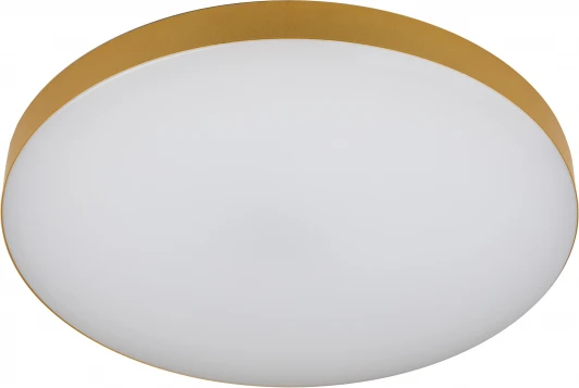 Relict 48 Pult SPB-6-60-RC MG Потолочный светильник круглый светодиодный с пультом и регулировкой цветовой температуры ЭРА Relict 48 Pult SPB-6-60-RC MG (220V, круглые)