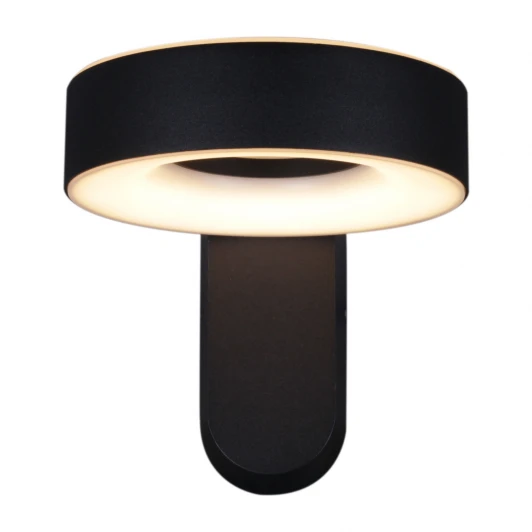 86869-9.2-001JH LED2*12W BK Архитектурная подсветка светодиодная Reluce 86869-9.2-001JH LED2*12W BK