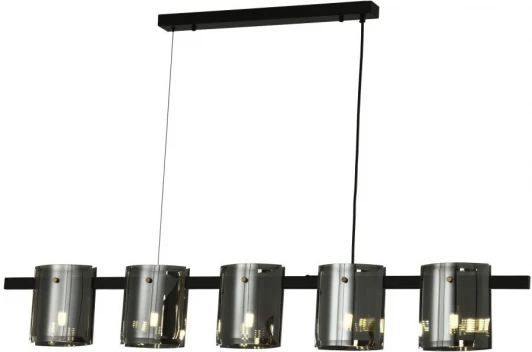 ZRS.1209.01 Подвесной светильник Zortes Rony ZRS.1209.01 (220V, на тросе)