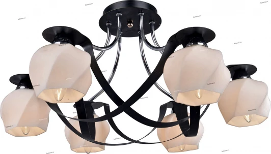 055/6PL Myone 055 055/6PL