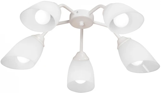 V31950/5PL Потолочная люстра на штанге Vitaluce V31950/5PL (220V)