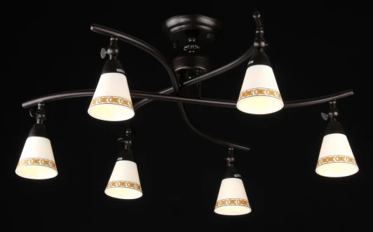 ECO001-06-R Потолочная люстра Maytoni Spot 1 ECO001-06-R