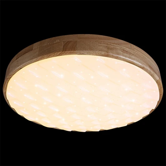 60530-0.2-60W Потолочный светильник круглый светодиодный с пультом и регулировкой цветовой температуры Reluce 60530-0.2-60W (220V, круглые)