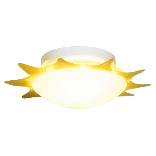 LSA-1152-03 Настенно-потолочный светильник Lussole Meda LSA-1152-03