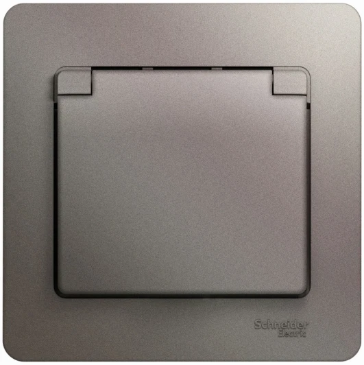 GSL001246 Розетка встраиваемая с заземлением, шторками и крышкой (платина) Systeme Electric Glossa GSL001246