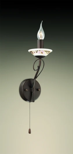 2529/1W Бра Odeon Light Riva 2529/1W