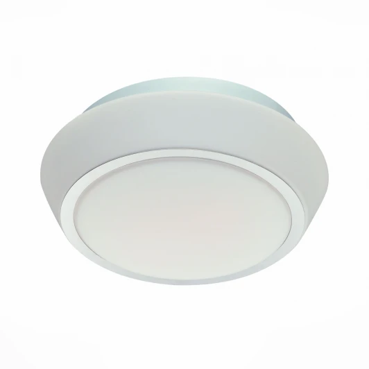 SL496.502.02 Настенно-потолочный светильник ST Luce Bagno SL496.502.02