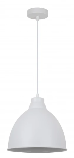 A2055SP-1WH Подвесной светильник Arte Lamp Braccio A2055SP-1WH