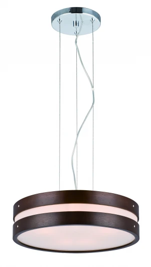 SL675.703.04 Подвесной светильник ST Luce SL675 SL675.703.04