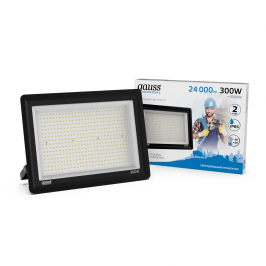 GFD00301 Прожектор уличный светодиодный Gauss GFD00301