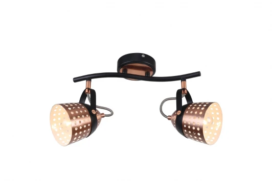 1138/2A Спот на штанге Escada 1138/2A (220V)