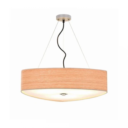 L67703.50 Подвесной светильник L'Arte Luce Delta L67703.50
