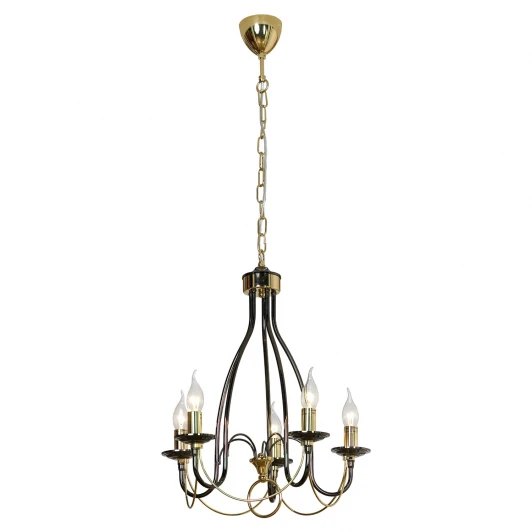 GRLSA-4613-05 Подвесная люстра Lussole Loft Todi GRLSA-4613-05