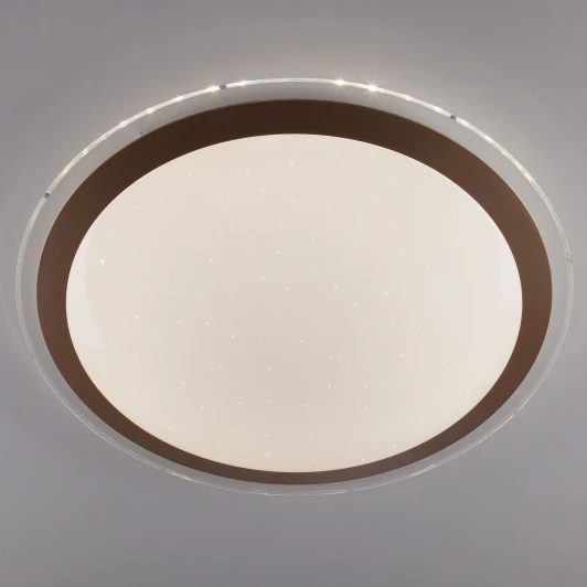40004/1 LED матовое золото Потолочный светильник Elektrostandard 40004/1 LED матовое золото