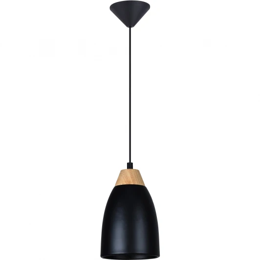 TL0724H-2B Подвесной светильник Toplight Leah TL0724H-2B