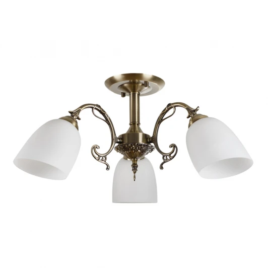 MR1522-3C Потолочная люстра на штанге MyFar Biene MR1522-3C (220V)