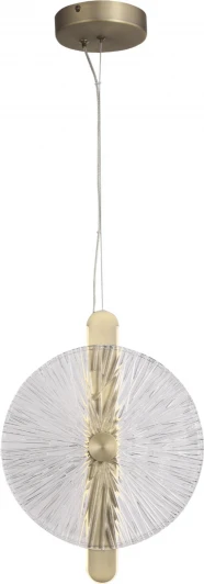 SL6141.303.01 Подвесной светильник ST Luce Wasi SL6141.303.01 бронза/прозрачный LED 1*11W 4000K (220V, на тросе, круглые)