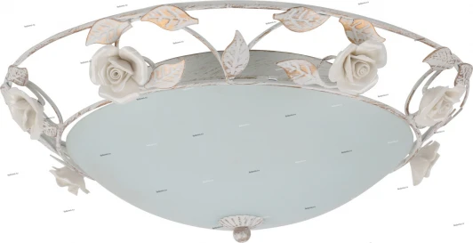 124/3PL Myone 124 124/3PL