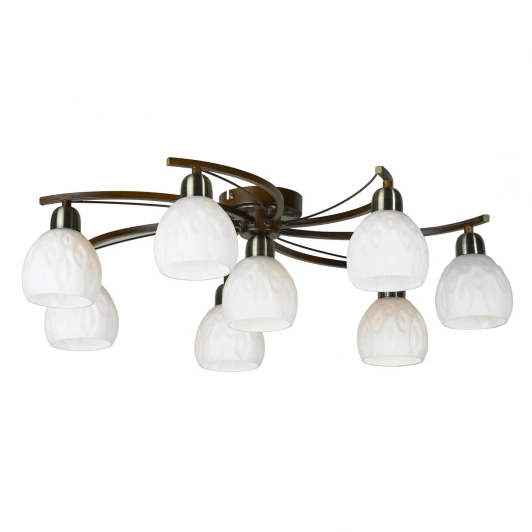 LSL-8807-08 Потолочная люстра Lussole Mores LSL-8807-08