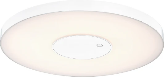 41321 Настенно-потолочный светильник Globo Felion 41321