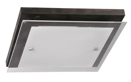 106-41-22/1H Настенно-потолочный светильник Дубравия Эко 106-41-22/1H