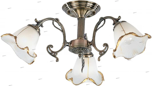 010/3P Myone 010 010/3P