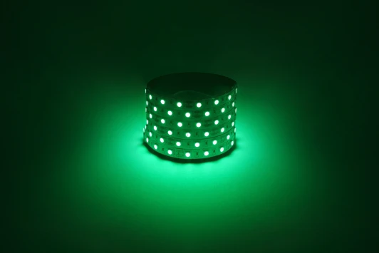 LS5050-14,4-60-12-G-IP20-1 year-5m Светодиодная лента 12V 5м зеленый ЭРА LS5050-14,4-60-12-G-IP20-1 year-5m