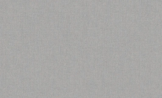 60165-05 Обои виниловые Erismann Bolero 60165-05 10,05 x 1,06 м