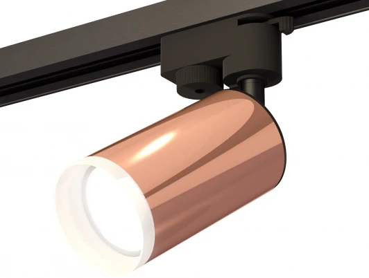 XT6326012 Трековый светильник Ambrella Track System XT6326012 (220V, круглые)