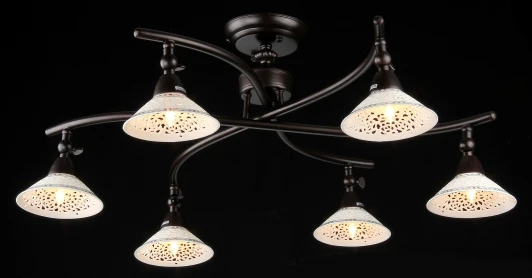 ECO002-06-R Потолочная люстра Maytoni Spot 2 ECO002-06-R