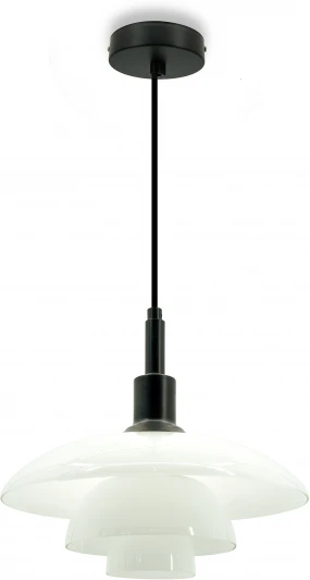 LE124L-28B Подвесной светильник Lightera Bacalar LE124L-28B (220V, на проводе, круглые)